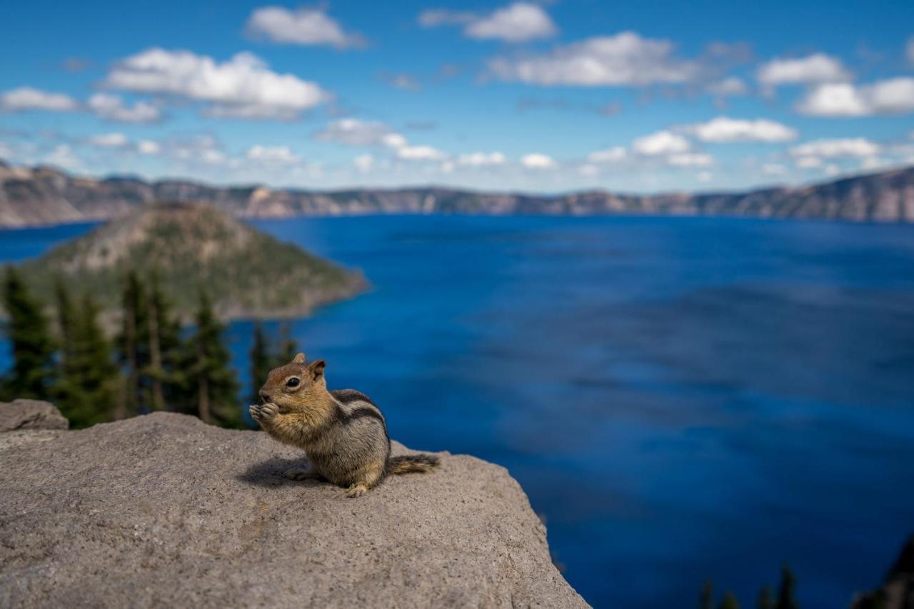 Crater Lake Resort Fort Klamath エクステリア 写真